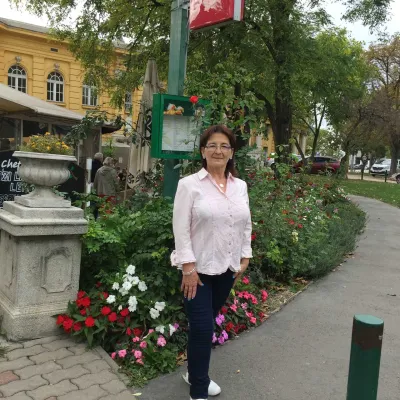 Ancsika profilképe