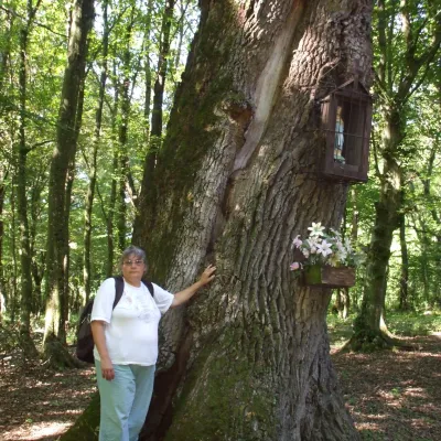 Bözsike profilképe