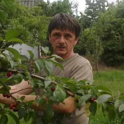 Csaba52 profilképe