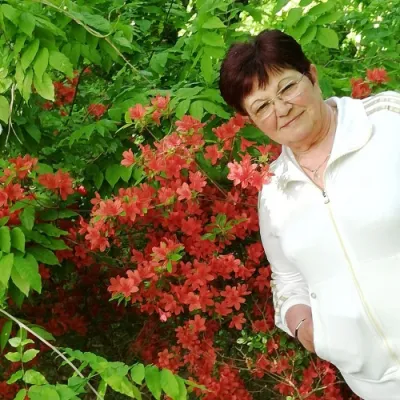 Beatrix profilképe