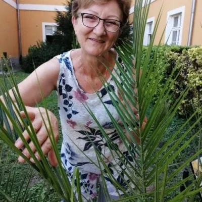 Katus17 profilképe