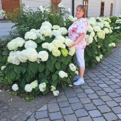 Krisztina72 profilképe